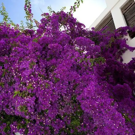 Pudraa Bodrum